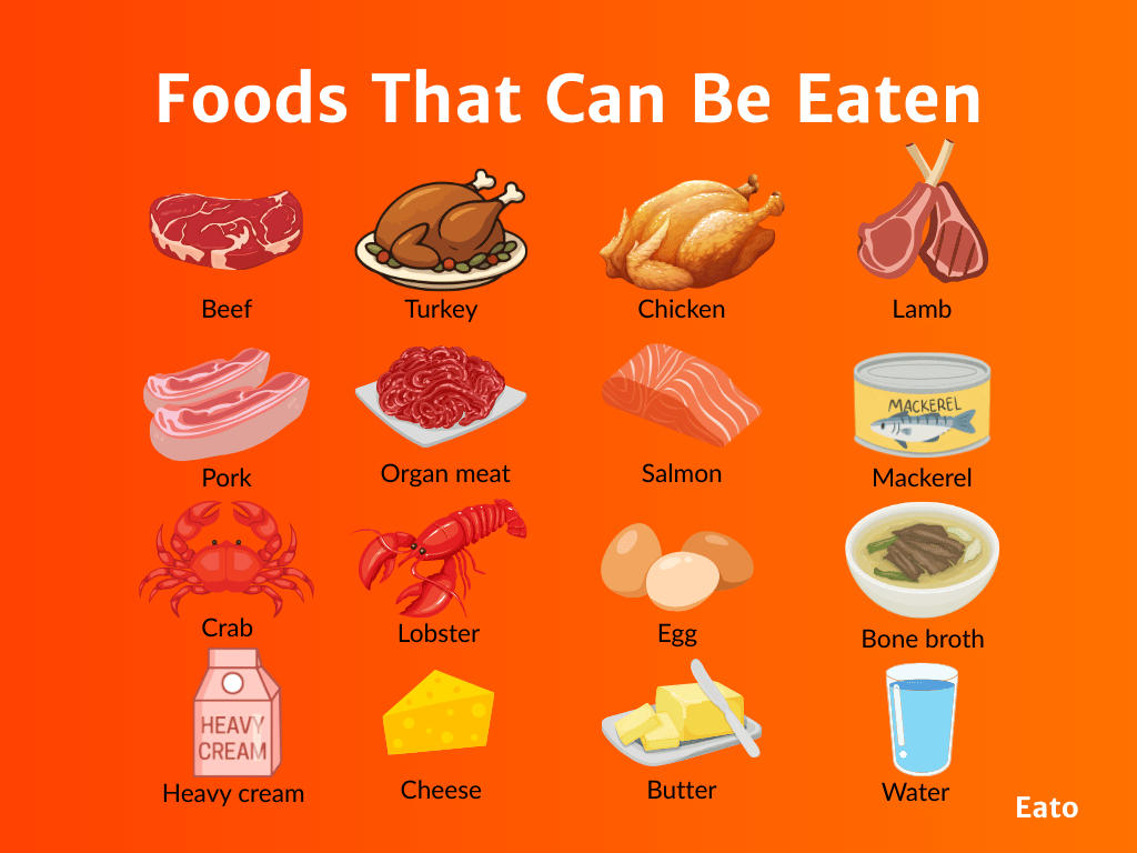 list of carnivore diet foods including beef, eggs, fish, and bone broth.