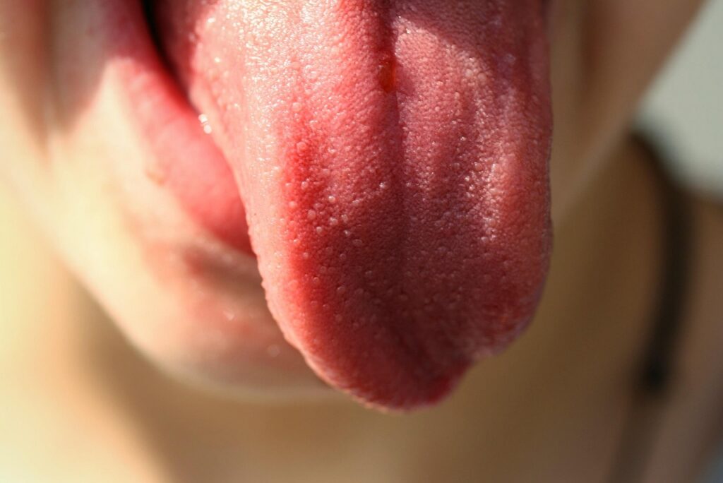 Close up of a tongue to show how taste receptors react to sweetness in diet soda and why this affects hunger during fasting.