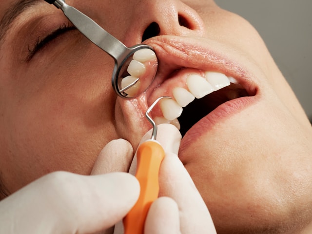 Dentist examining a patient’s teeth with how green tea catechins may reduce harmful oral bacteria