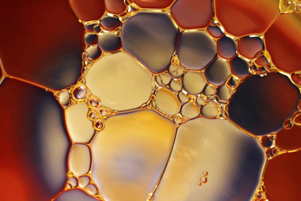 sunflower oil droplets showing fatty acid composition and vitamin E content linked to heart health and antioxidant benefits.