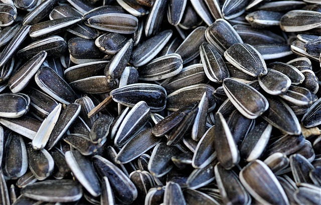 Sunflower seeds provide linoleic acid and healthy fats that support cholesterol balance and overall heart health