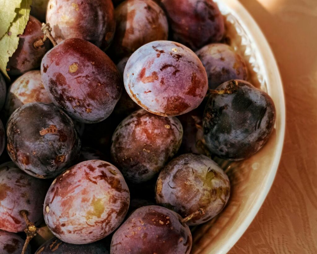 Bowl of fresh plums have high water content and naturally low fat levels