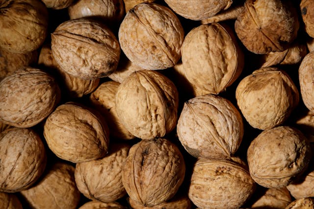 Whole walnuts in shells omega 3 rich edible seeds