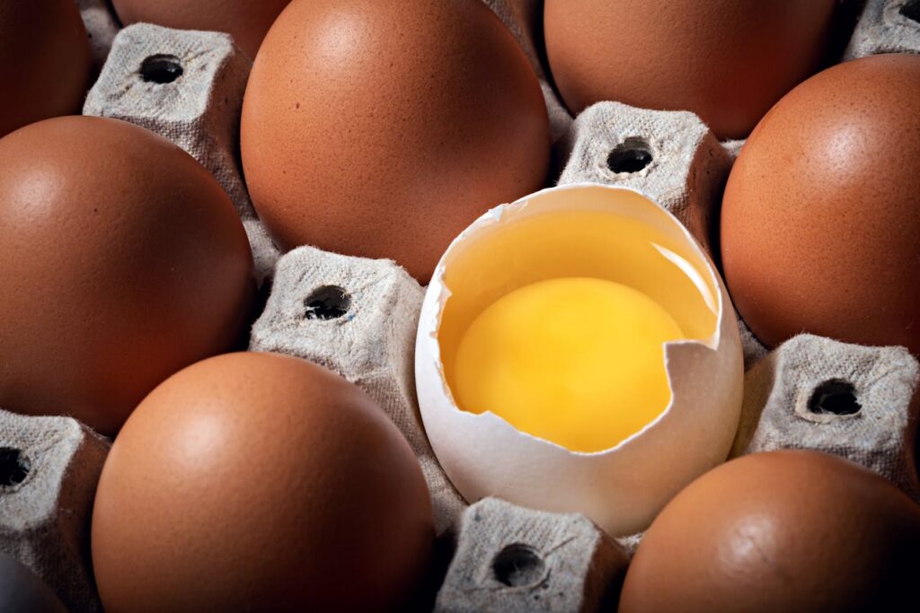 Egg yolk and egg white comparison, egg diet