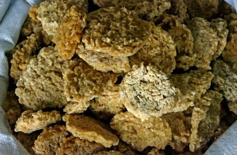 By Zeynel Cebeci - Own work, CC BY-SA 4.0, https://commons.wikimedia.org/w/index.php?curid=39481752