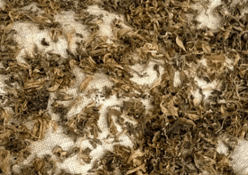 By Krish Dulal - Own work, CC BY-SA 3.0, https://commons.wikimedia.org/w/index.php?curid=30755190