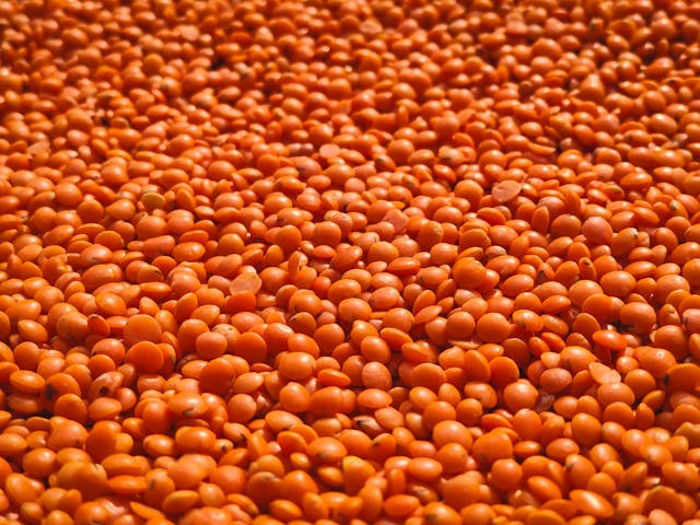 Lentils have phosphate involved in energy transfer, nutrient metabolism, and DNA formation.