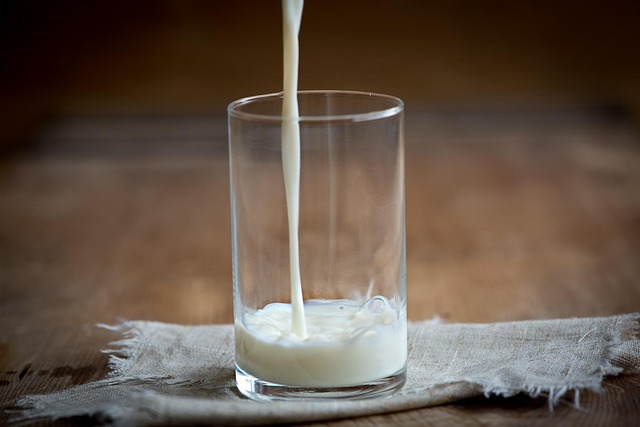 gelatin and milk protein diet did not improve weight maintenance more effectively than other diets