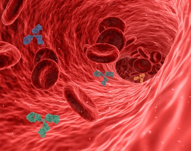 Gelatin can supply amino acids used in collagen synthesis.