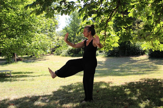 There are 3 main components in Tai Chi walking: forward walking, backward walking, and a continuous flow.