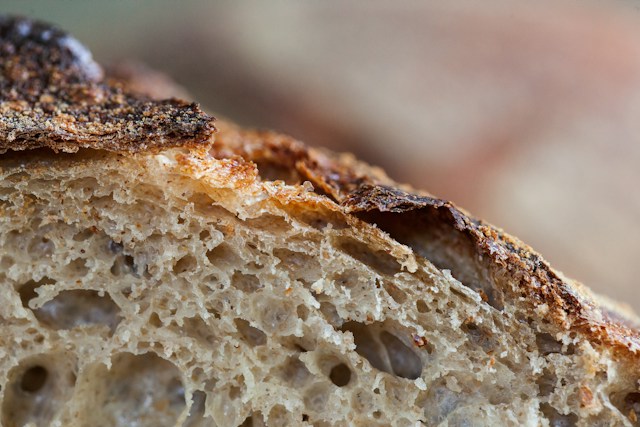 Sourdough bread is made by leavening dough with a sourdough starter, a living culture of lactic acid bacteria and wild yeast.